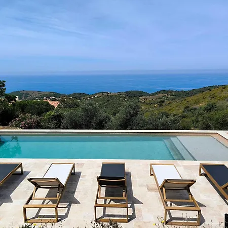 Dans Le Maquis - Piscine - Vue